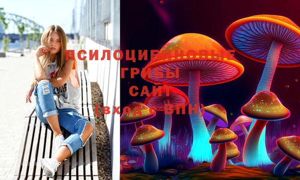 гидра Алексеевка