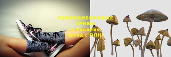 jwh Алзамай